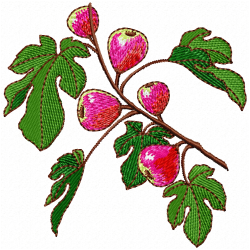 Cherry Embroidery Design 3 Cherry Embroidery Design 3
